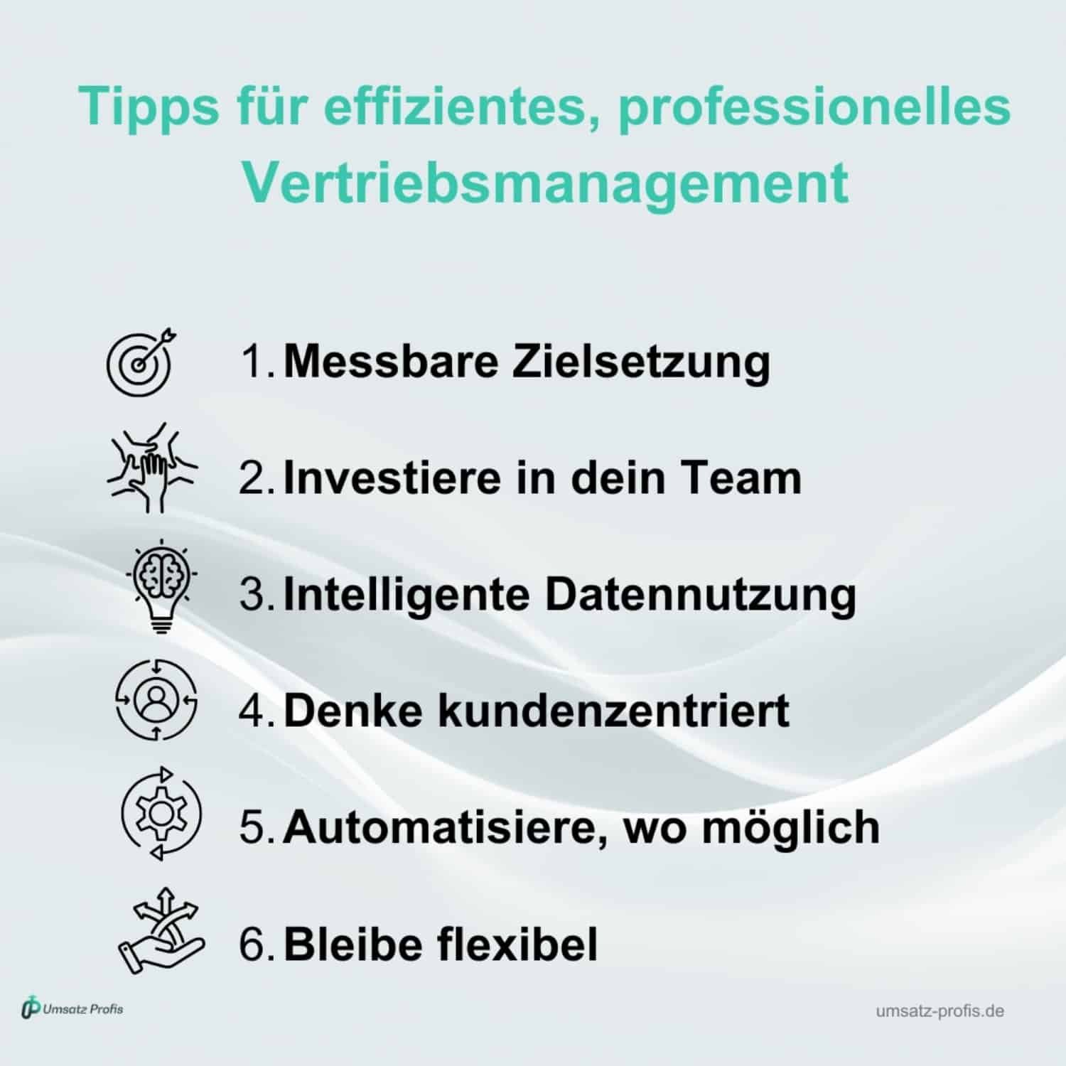 Weißer Hintergrund, in Blau: Tipps für effizientes, professionelles Vertriebsmanagement und darunter in Schwarz die Tipps mit dem jeweils passenden Bild links daneben. Unten links Logo Umsatz-Profis, unten rechts Link: umsatz-profis.de